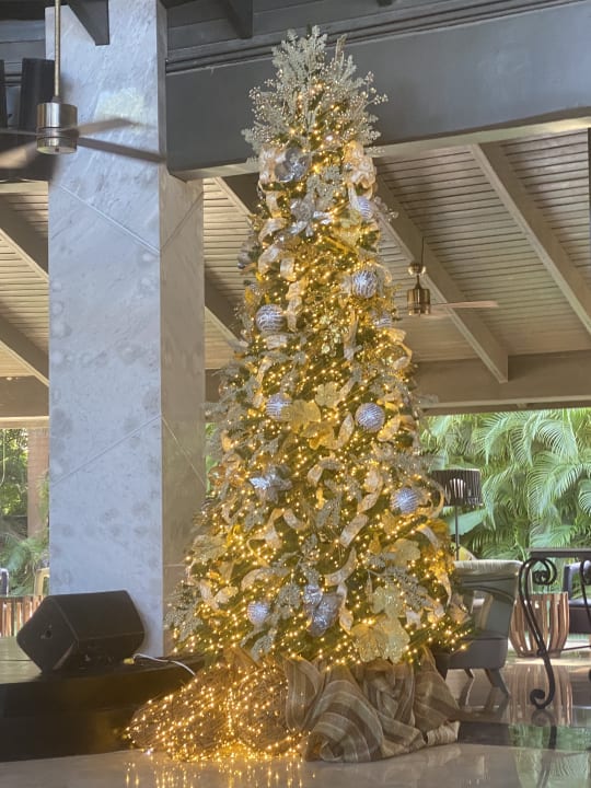 Lobby Grand Palladium Punta Cana Resort & Spa