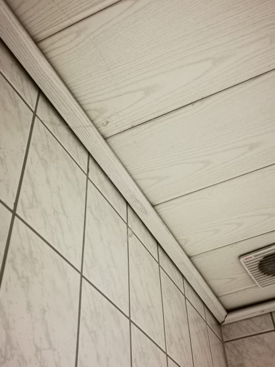 Zimmer Villa Oranien