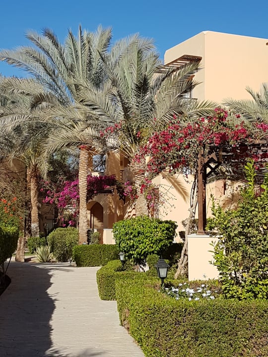 Gartenanlage Steigenberger Coraya Beach - Adults only