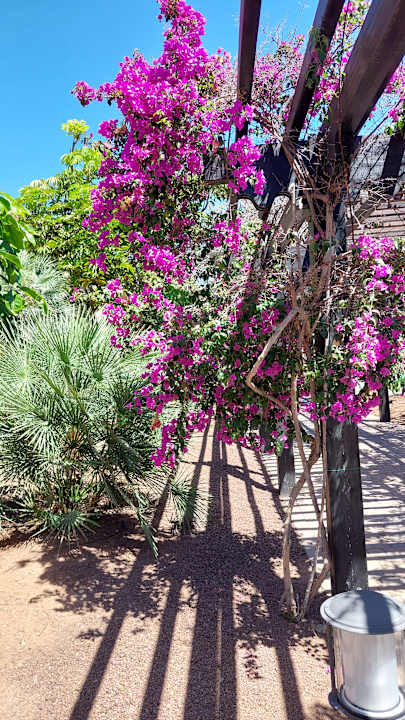 Gartenanlage Lopesan Costa Meloneras, Resort & Spa