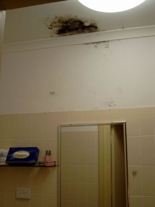 Schimmel im Bad The Bayswater Sydney