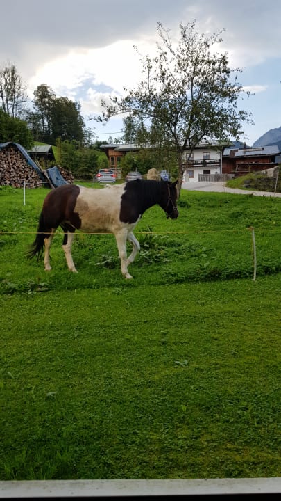 Gartenanlage Naturhotel Reissenlehen