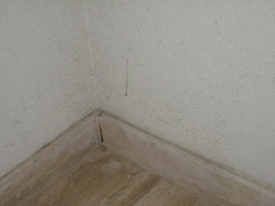 Flur PALOMA Perissia