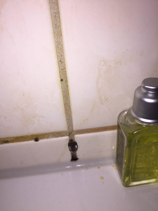 Schimmel Bad 1. OG Ferienhaus Strandhaus XXL Baabe