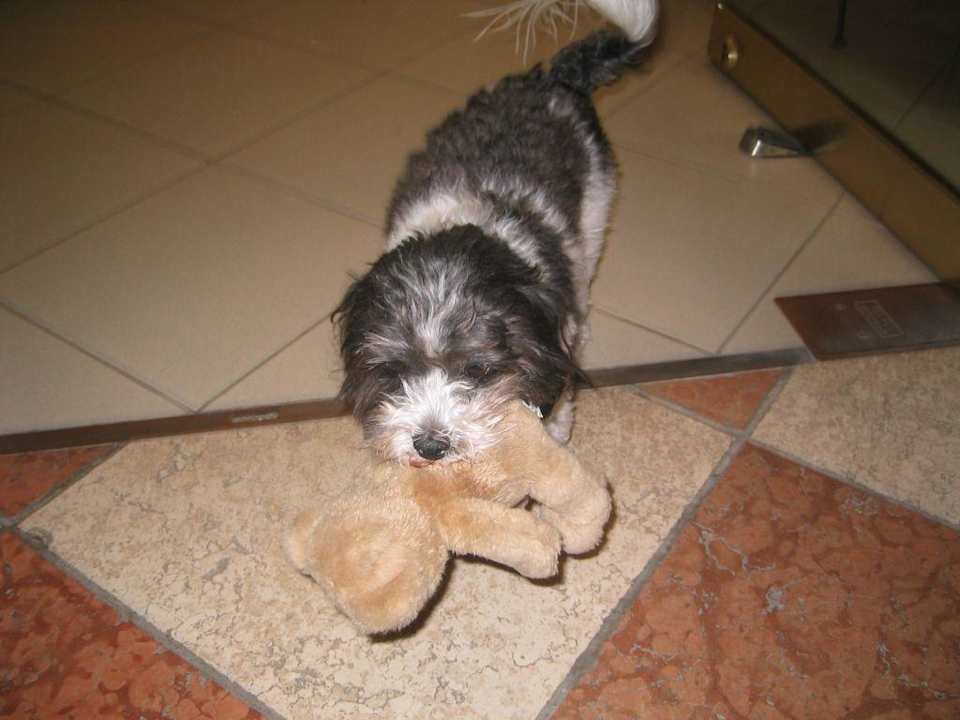 Süss Grand Palladium Select Bávaro Resort & Spa