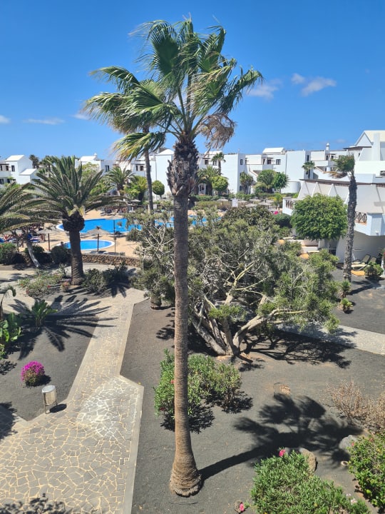 Gartenanlage allsun App.-Hotel Albatros