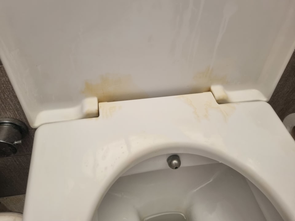 Zimmer Kamelya Aishen Club