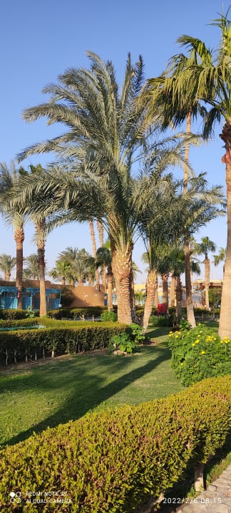 Pool Giftun Azur Resort