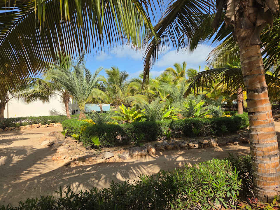 Gartenanlage Hotel Riu Palace Boavista