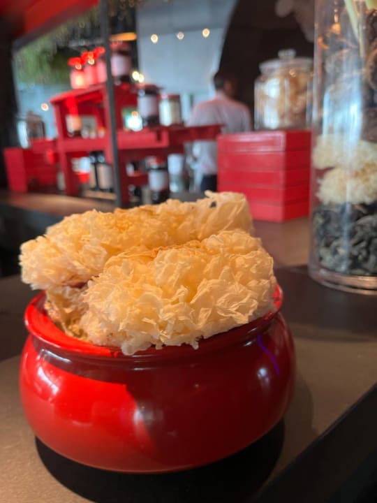 Gastro W Abu Dhabi - Yas Island