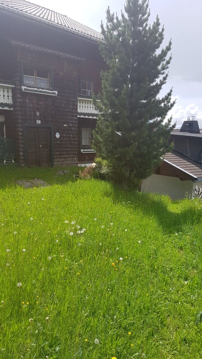 Auch Hunde sind willkommen Bio Bauernhof Ederhof