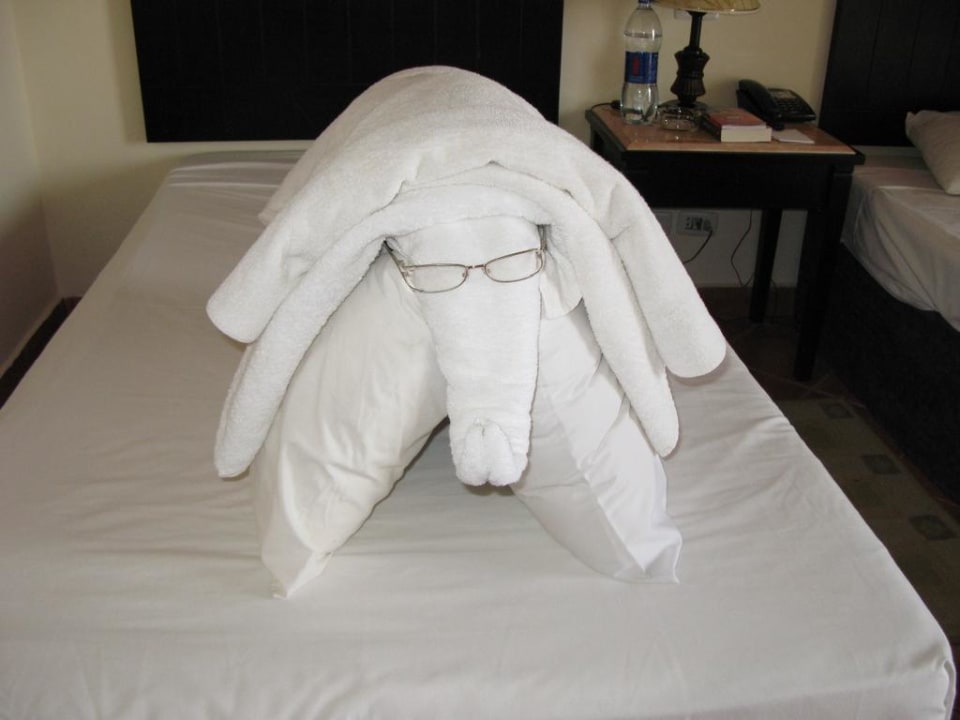 Zwierzak Three Corners Sea Beach Resort