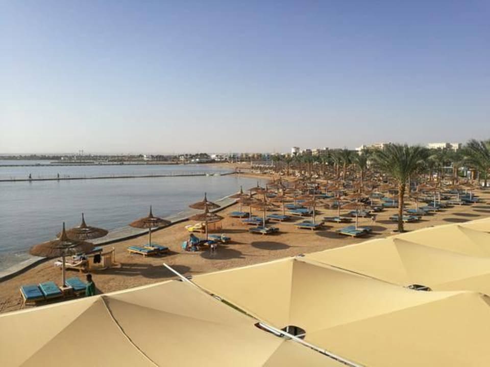 Auf der Dachterrasse  Beach Albatros Resort