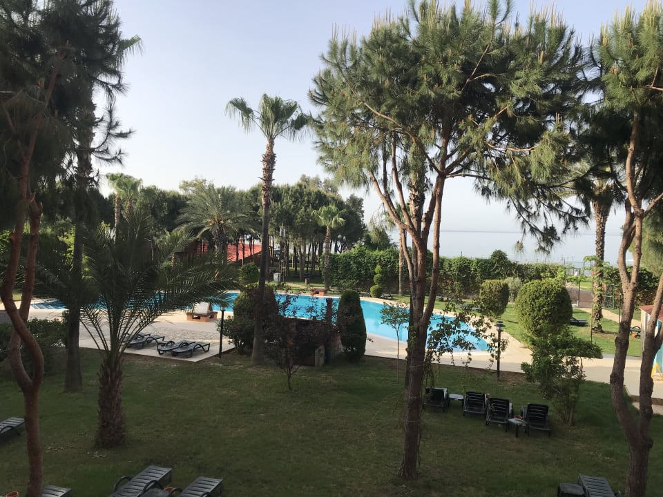 Pool Club Turtas Beach Hotel