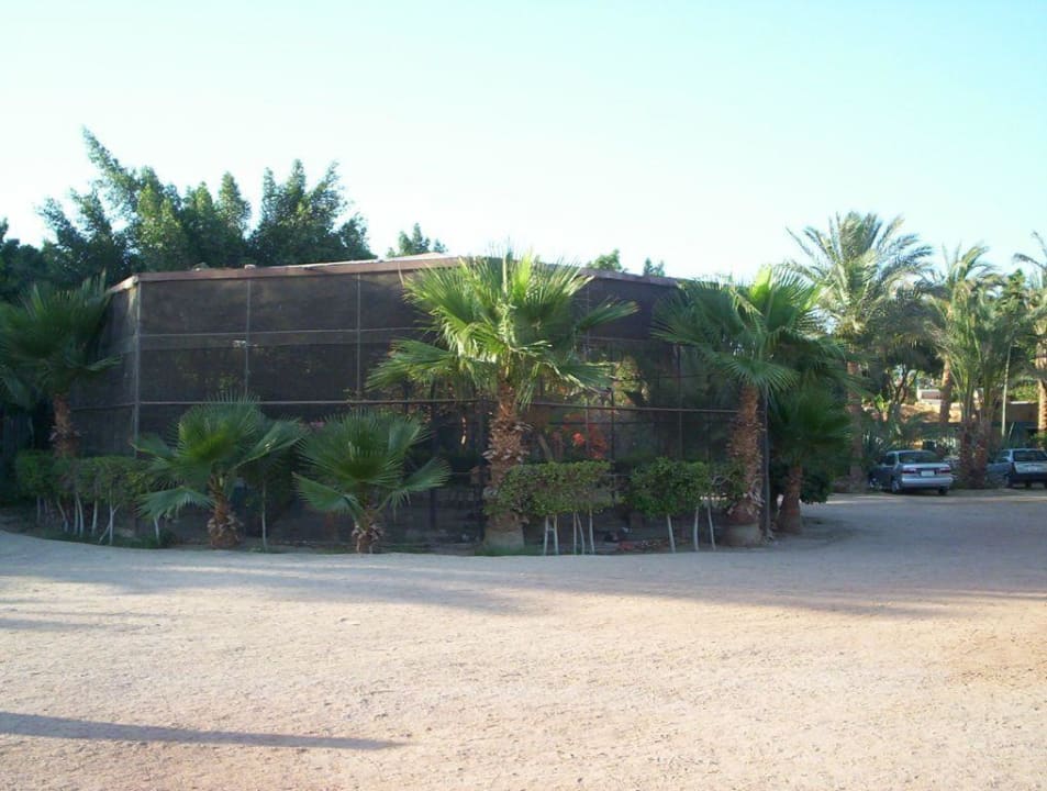 Vogelvoliere Giftun Azur Resort