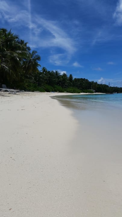 Unser Strand  Kuramathi Maldives