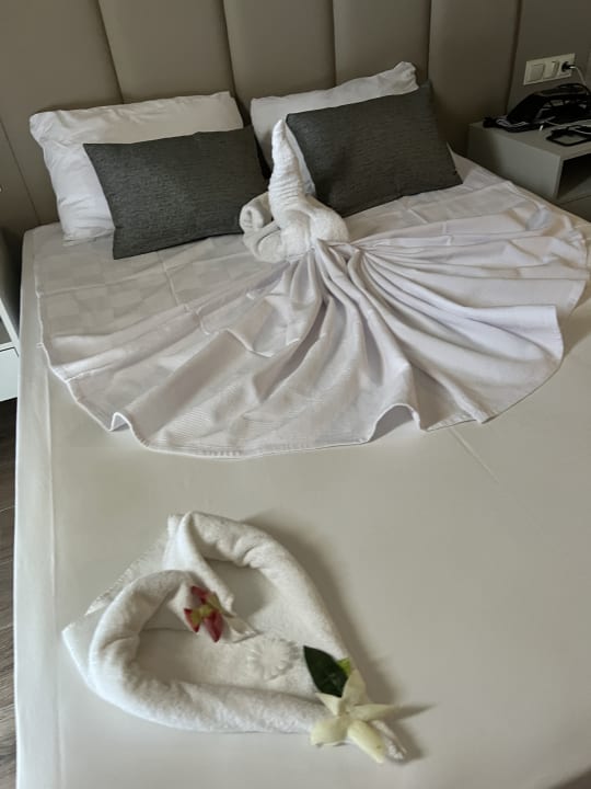 Zimmer Dream Water World