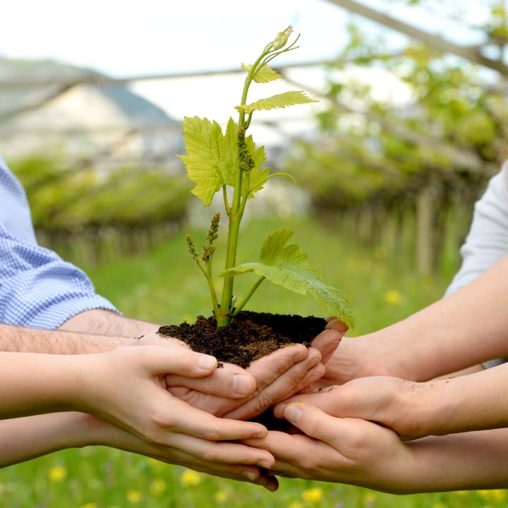 Le nostre mani Agriturismo Maso Grener