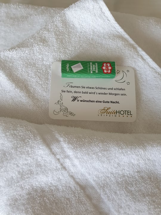 Zimmer Suite Hotel Leipzig