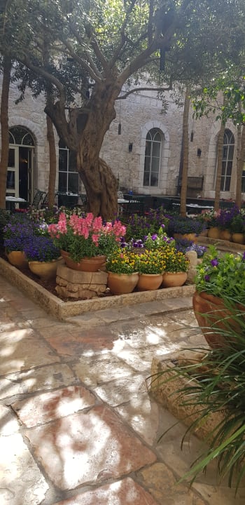 Gartenanlage Hotel The American Colony