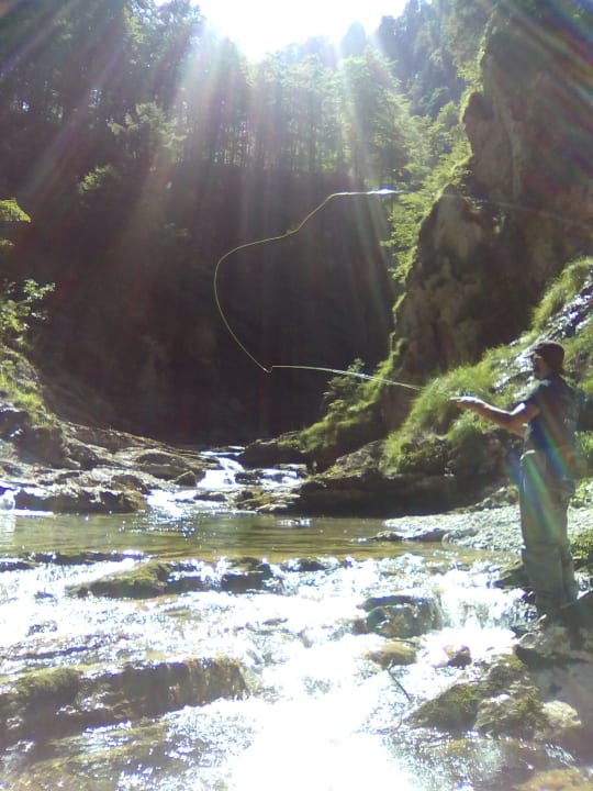 Zimmer Gästehaus Burghartswieser