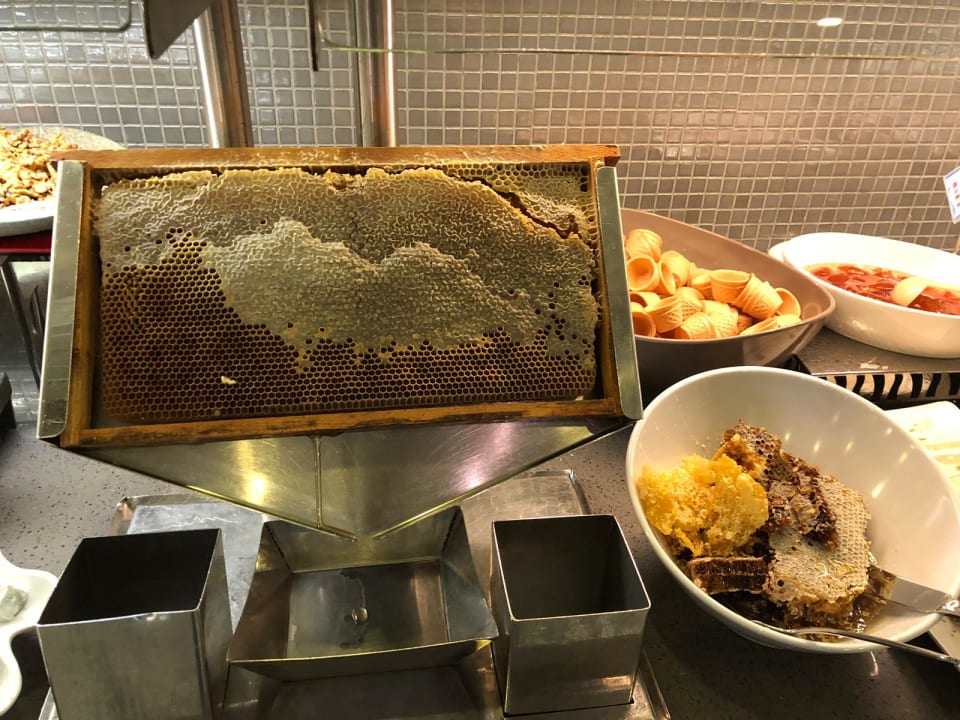 Gastro Royal Seginus