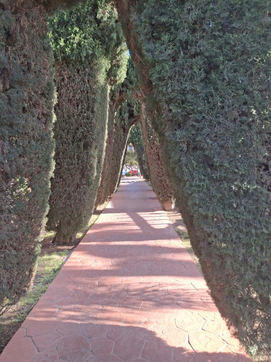 Gartenanlage allsun Hotel Esplendido