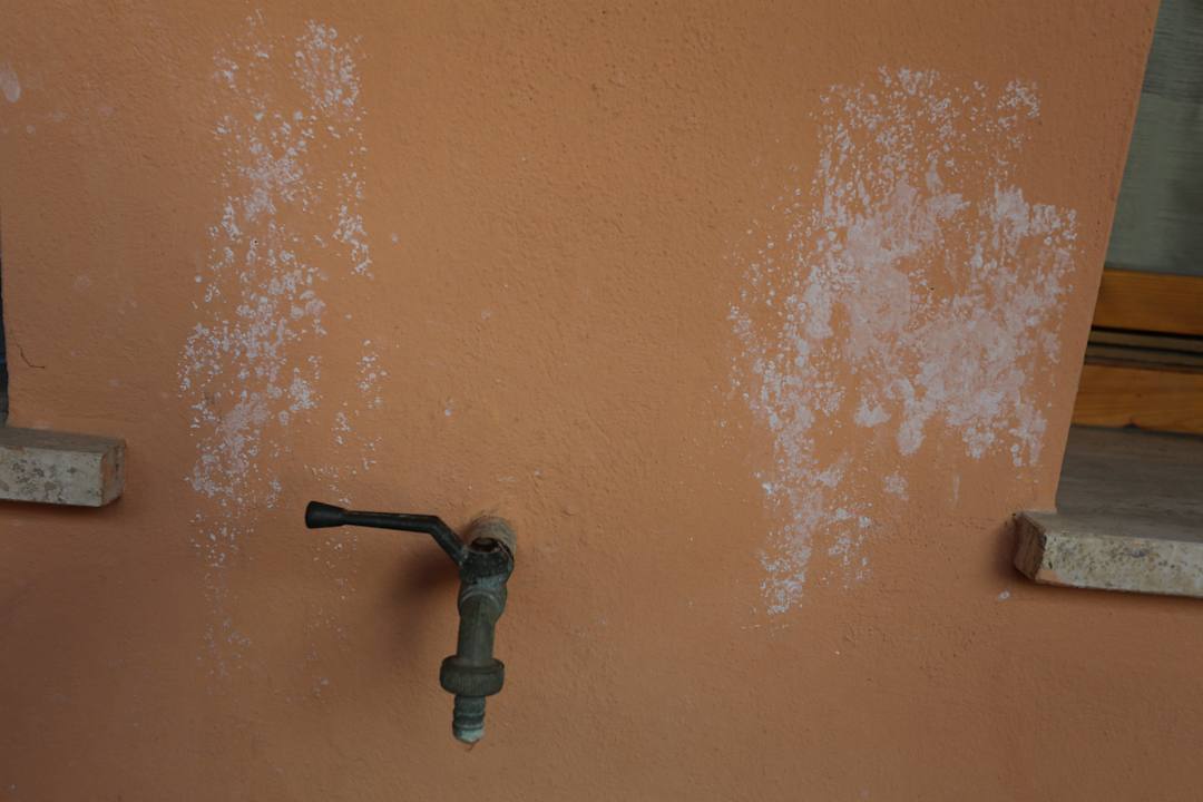 Balkon Apartments in Marina Di Bibbona