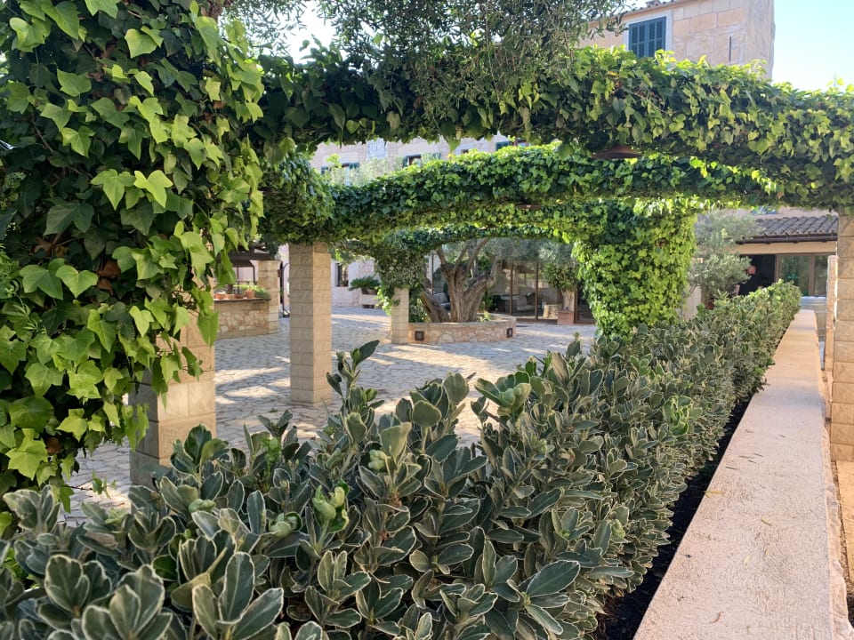 Gartenanlage Hotel Son Trobat Wellness & Spa