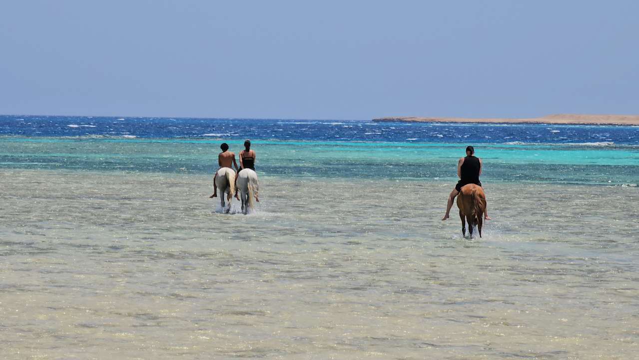 Strand JAZ Elite Asteria