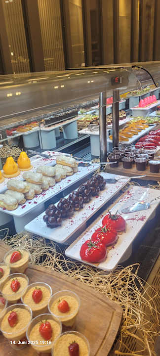 Gastro Seashell Vega