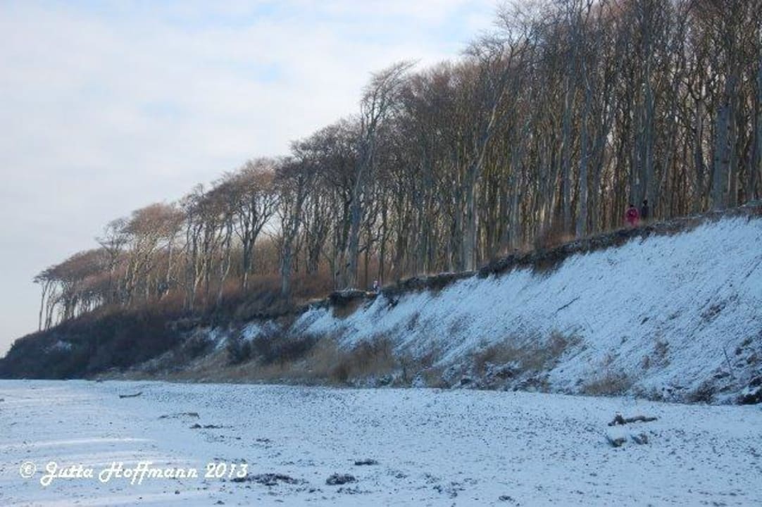 Gespensterwald vom Strand aus Ferienresort Seepferdchen