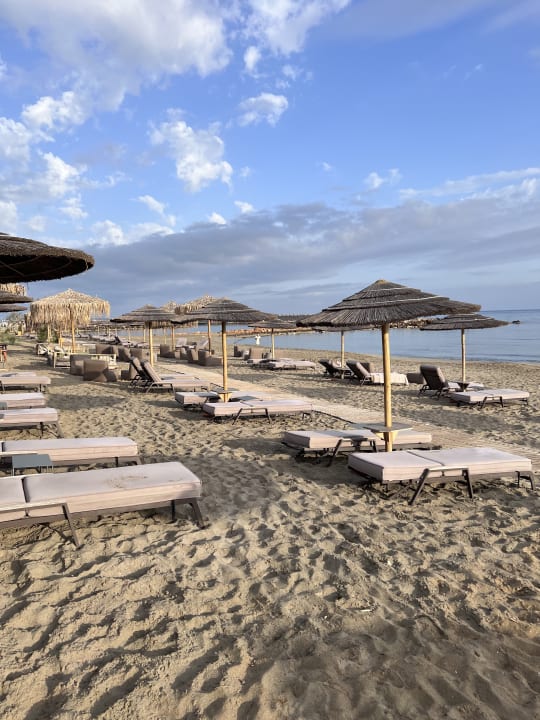 Strand Phãea Cretan Malia