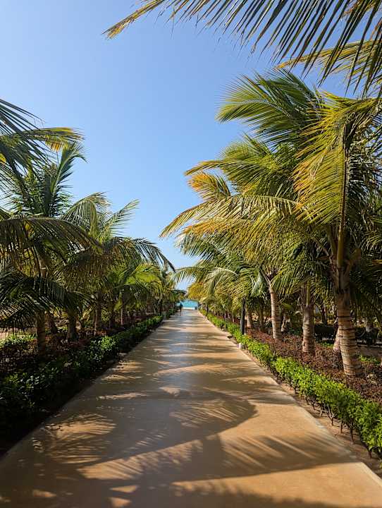 Gartenanlage Hotel Riu Palace Boavista
