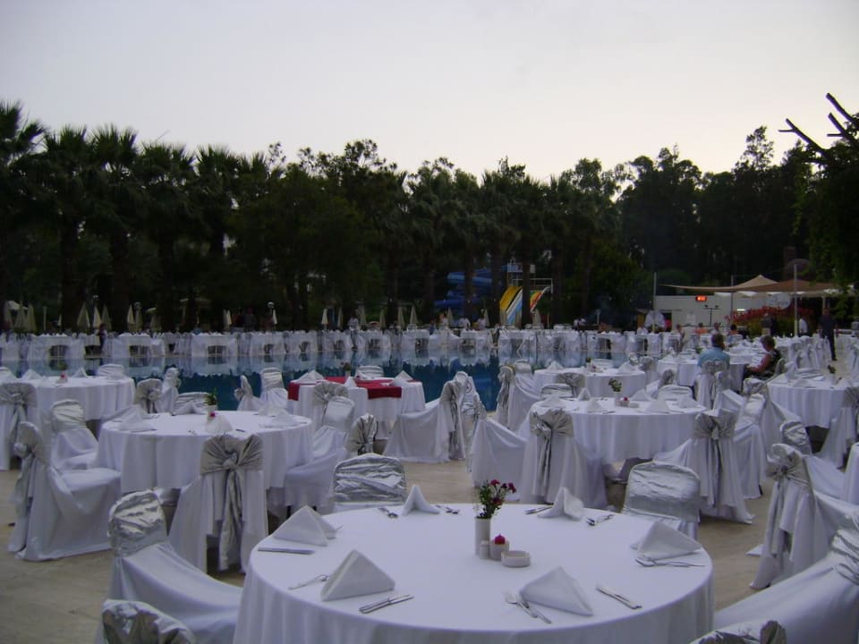 Galaabend Asteria Collection Side