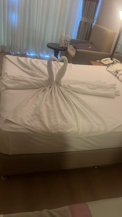 Zimmer Dream World Aqua Hotel