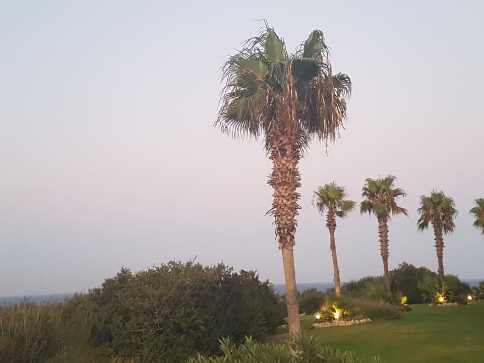 Gartenanlage Hotel Kalithea Mare Palace