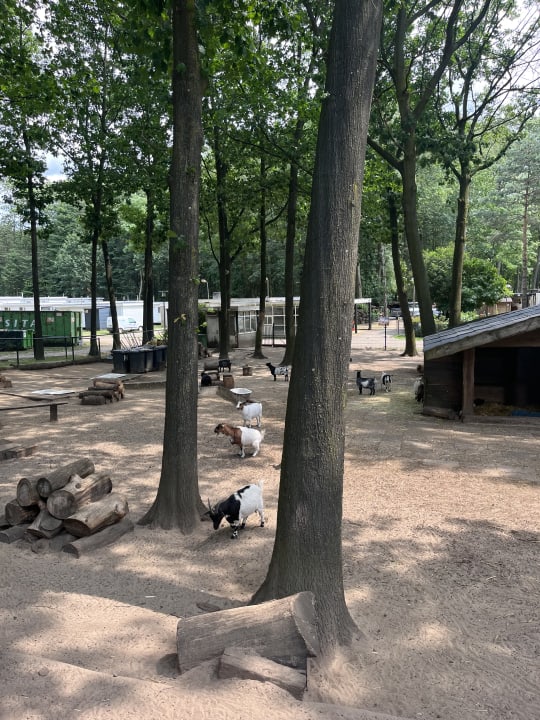 Sport & Freizeit Oostappen Vakantiepark de Berckt
