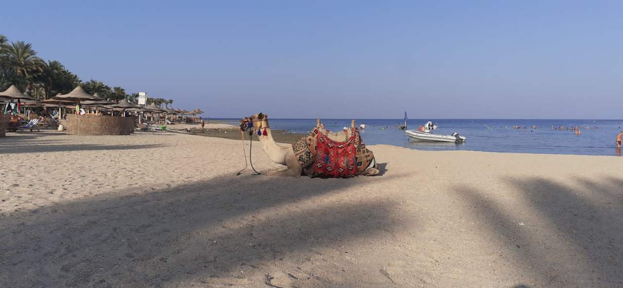 Ausblick Brayka Bay Resort