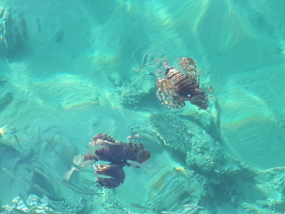 Strand Cleopatra Luxury Resort Makadi Bay