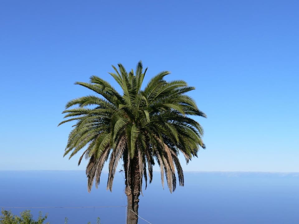 La Pama Villa Atlantico