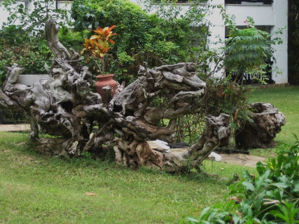 Garten des Hotels Hotel Papillon Lagoon Reef