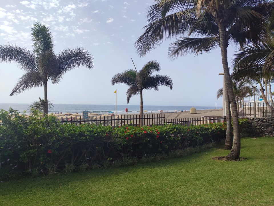 Gartenanlage Bull Costa Canaria & Spa - Adults only