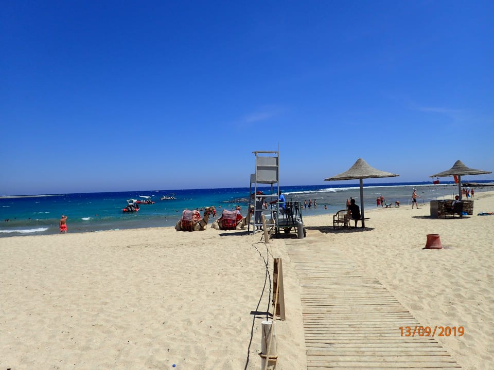 Strand Malikia Resort Abu Dabbab