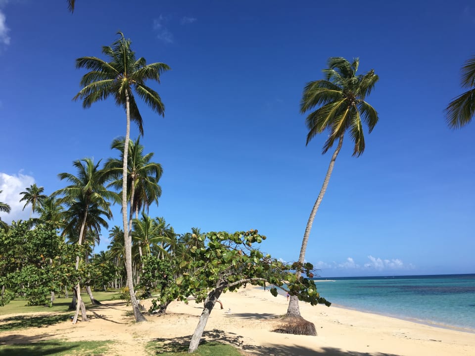 Strand Bahia Principe Grand El Portillo