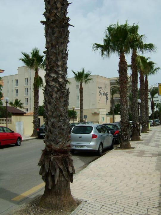 Vorderansicht The Sea Hotel by Grupotel - Adults only