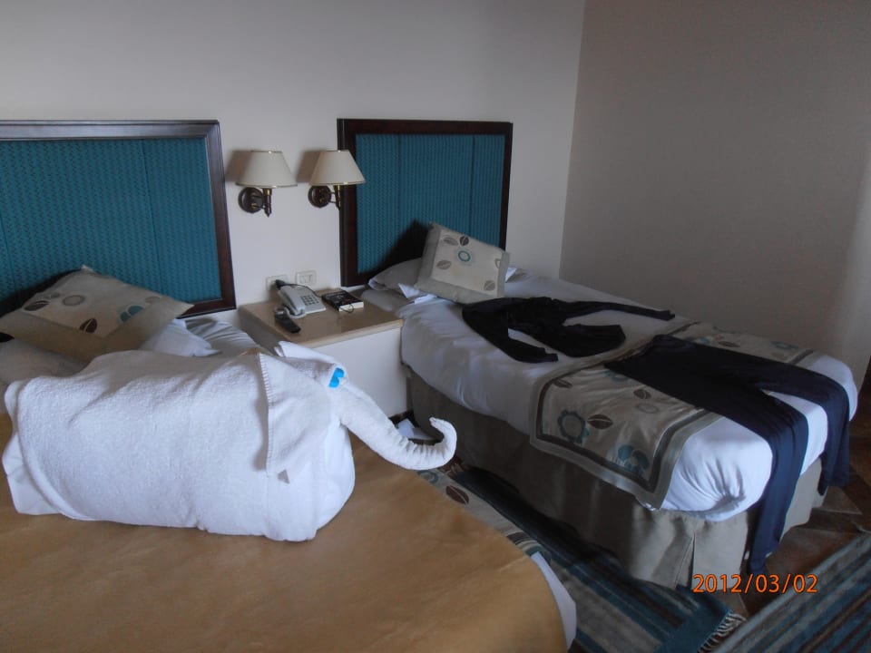 Zimmer Pickalbatros Citadel Resort