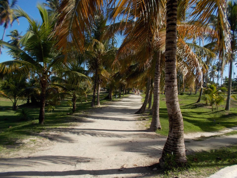 Weg zum Strand Villas Bavaro Resort & Spa