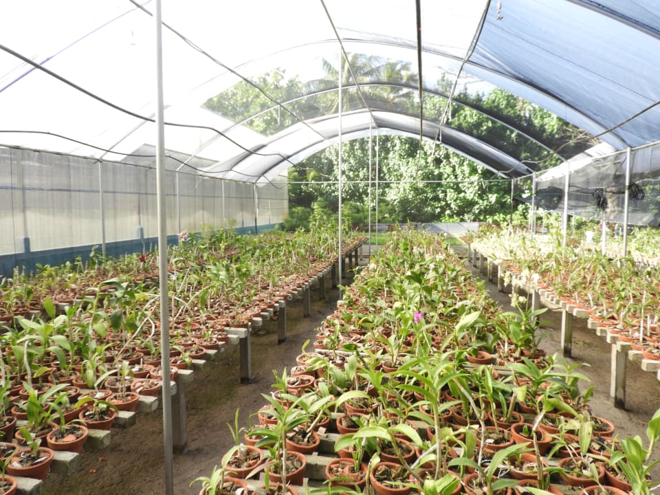 Sonstiges Kuredu Island Resort & Spa