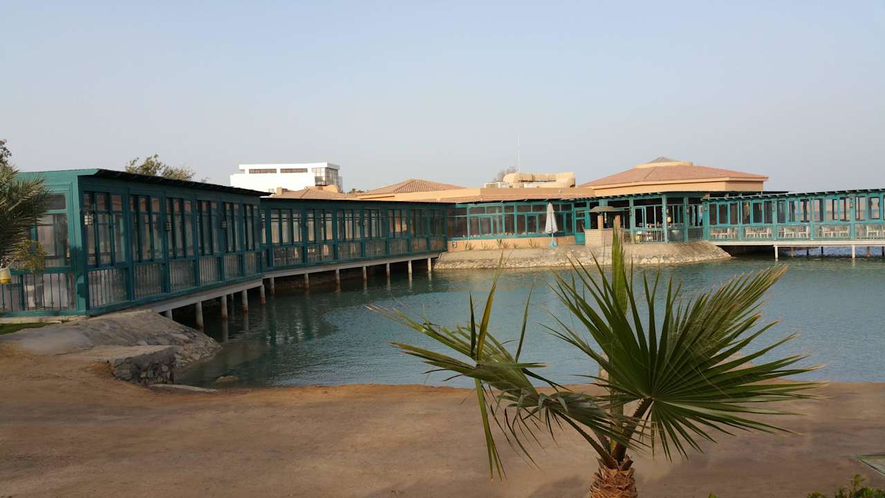 Immer lecker Club Paradisio El Gouna, Red Sea